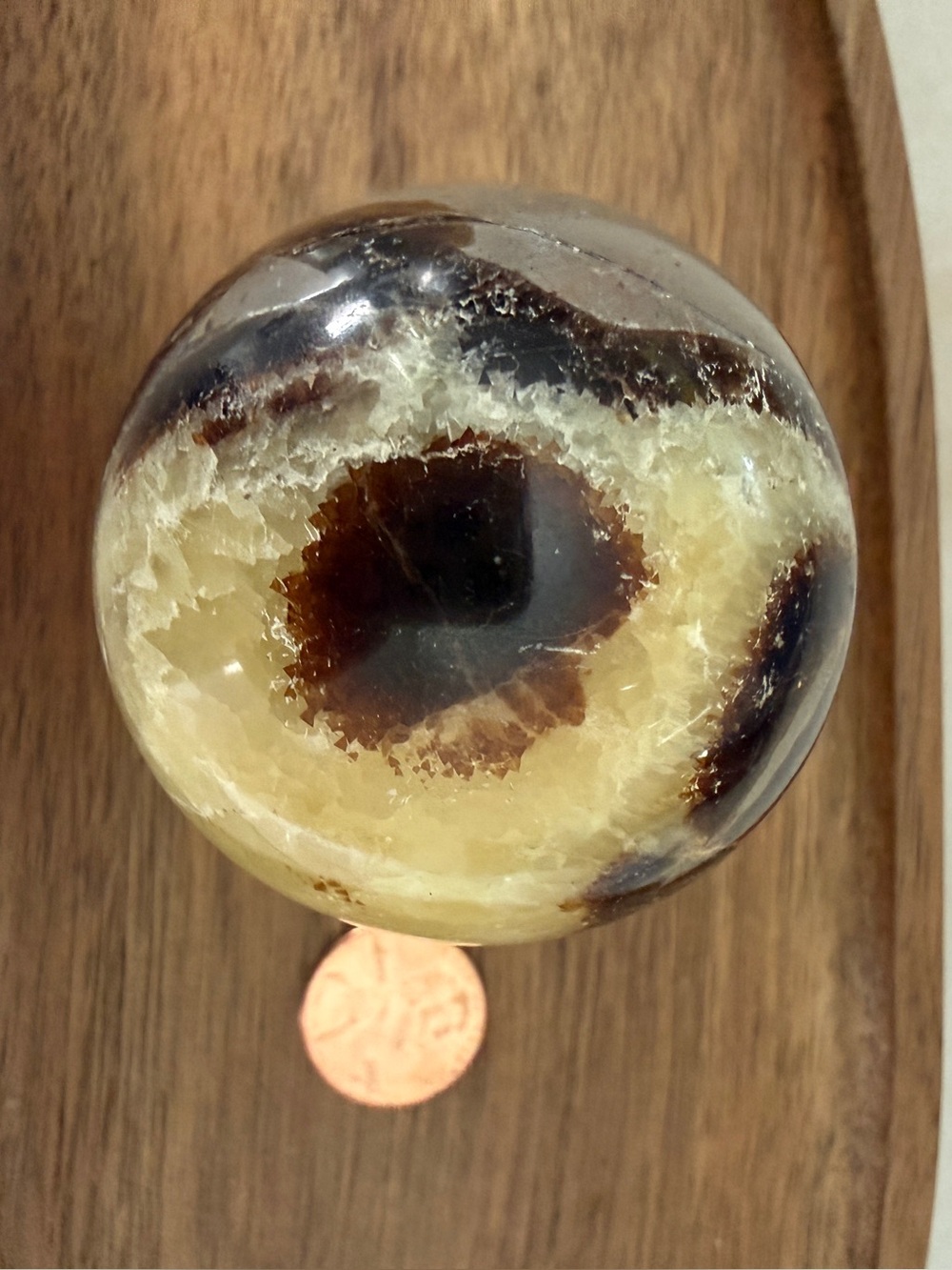 Septarian Dragon Stone Sphere 49mm Yellow Calcite Aragonite Crystal Orb